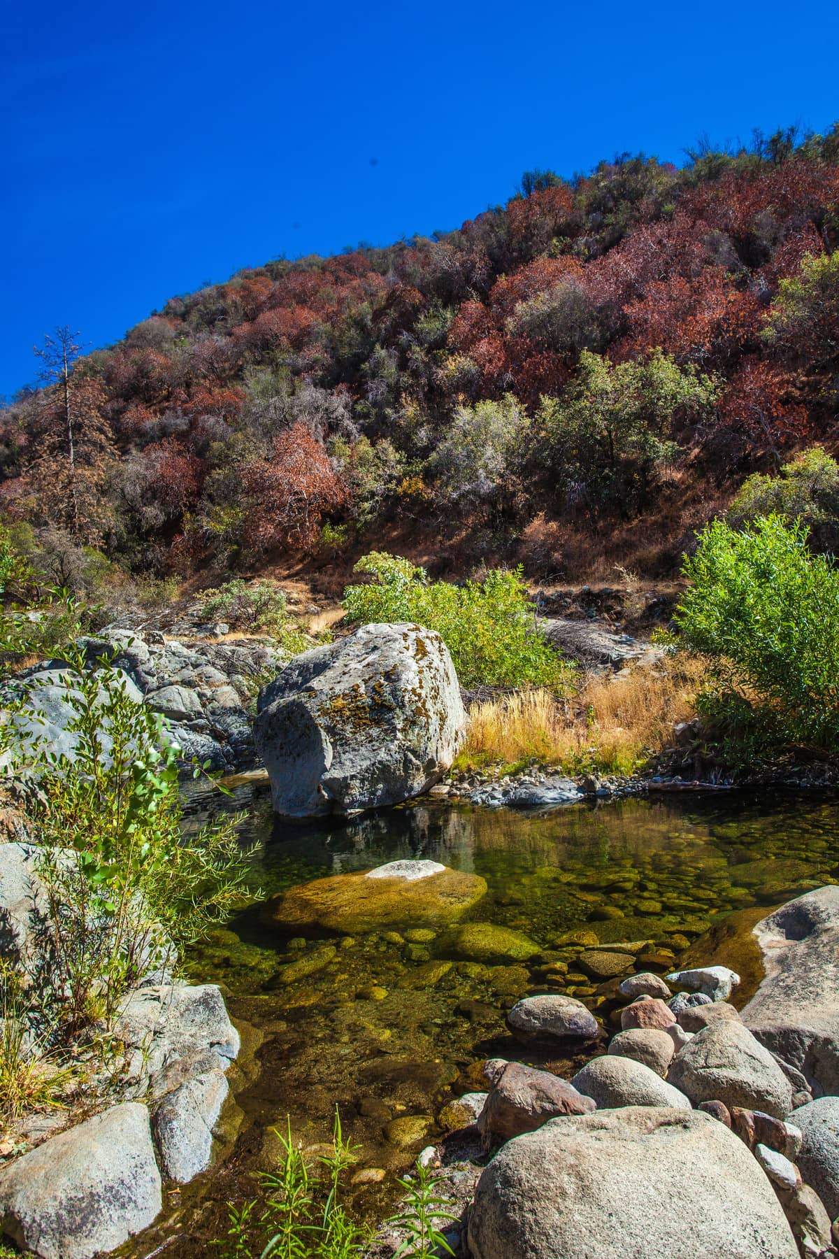 50062 South Fork Drive, Three Rivers, Ca 93271