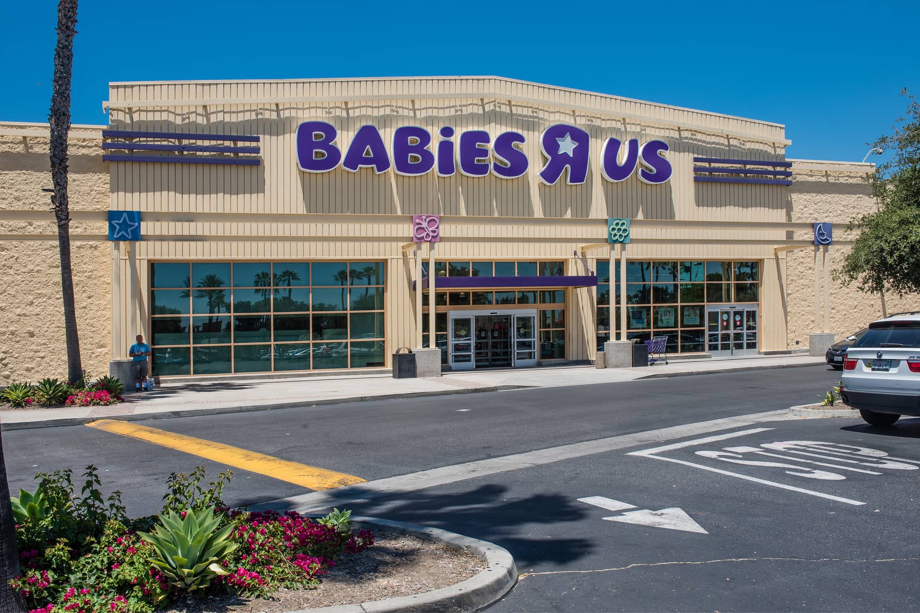 The Plant Van Nuys Plant Ideas