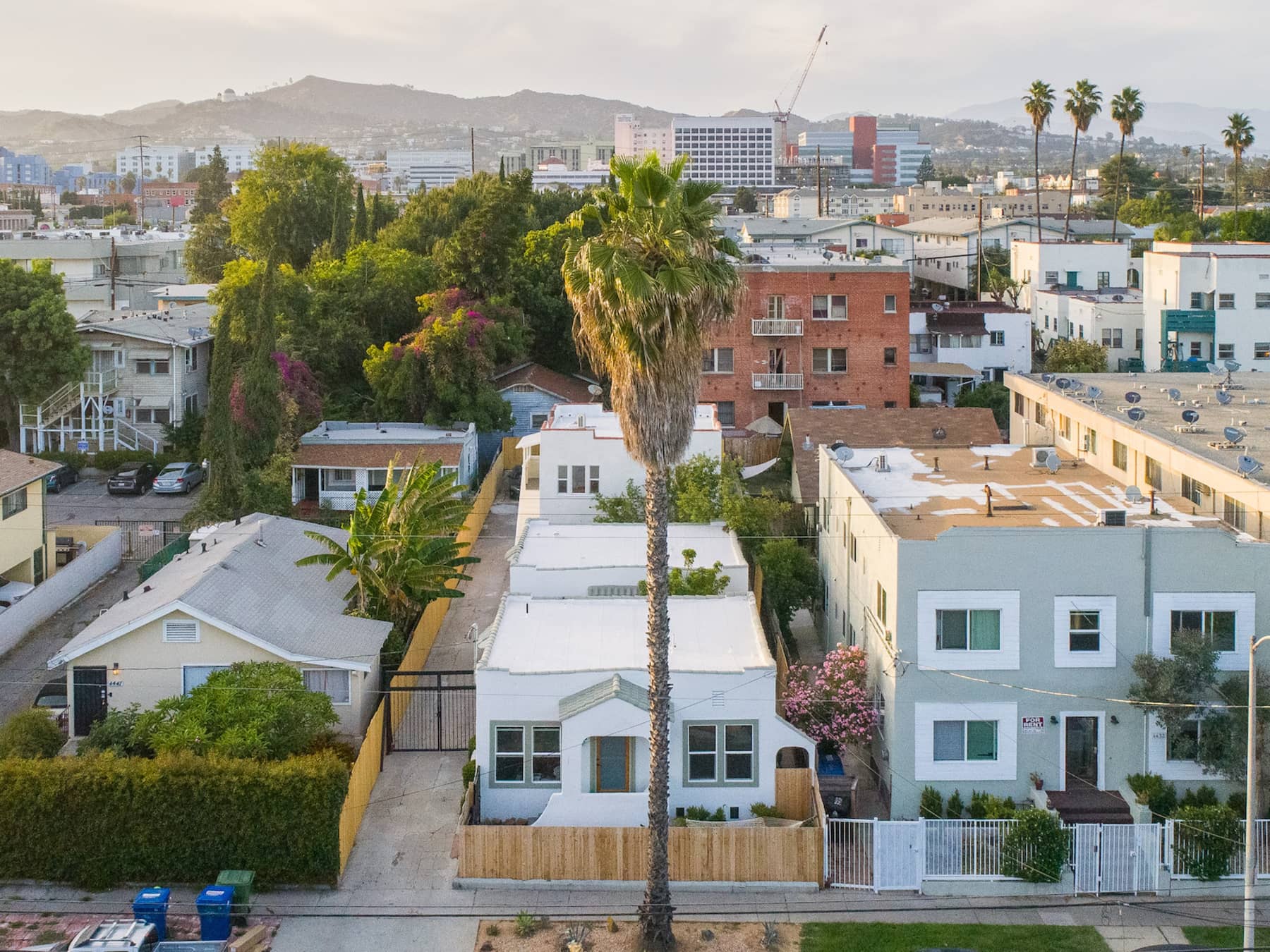 Rooftop Views in Virgil Village